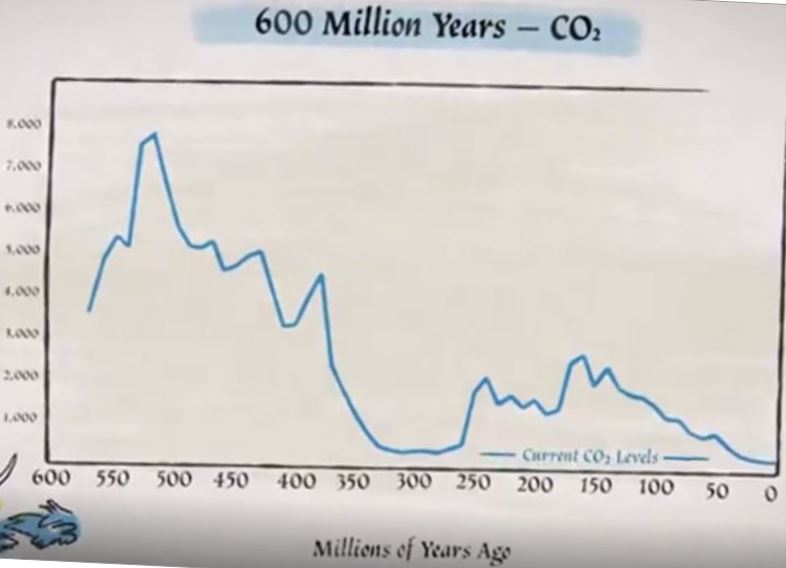 Lowest CO2-Levels in the last 600 Million Years