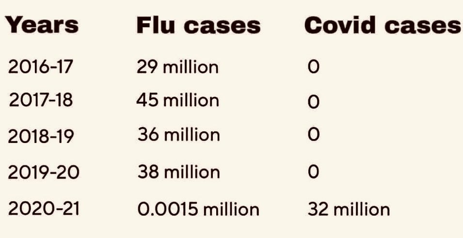 Whatever Happened to the Flu in 2020/2021?