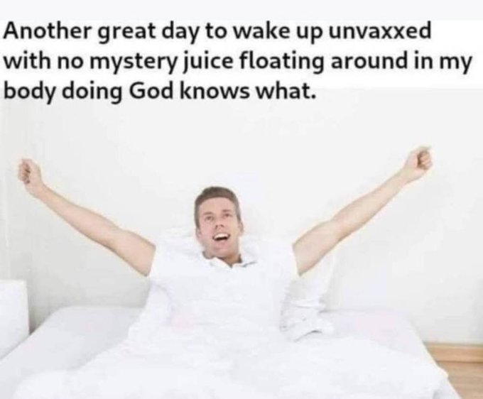 Twinkling Lights and Self Assembling Nano Technology in Pfizer&nbsp;Vaccine